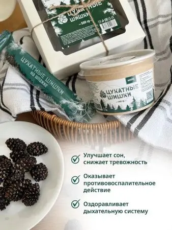 Цукаты из сосновых шишек на шпажке 25 гр Цукаты из сосновых шишек на шпажке 25 гр